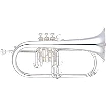 YFH-631 ヤマハ　フリューゲルホルン Amazon | YAMAHA ヤマハ YFH-631GS フリューゲルホルン